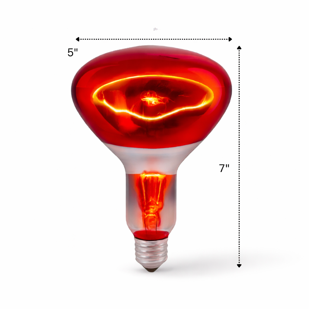 Red heating bulb with measurements on a white background