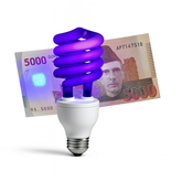 CFL light bulb in front of a 5000 Indian Rupee note